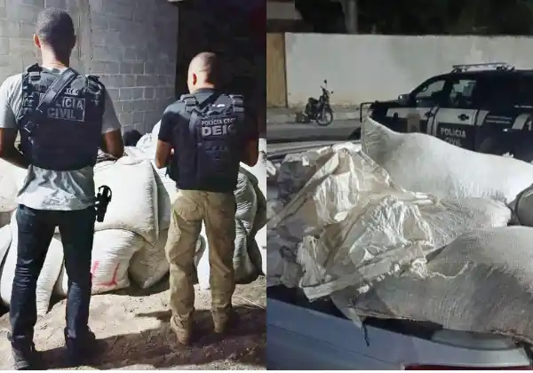 Carga de café avaliada em R$ 50 mil é recuperada na Bahia